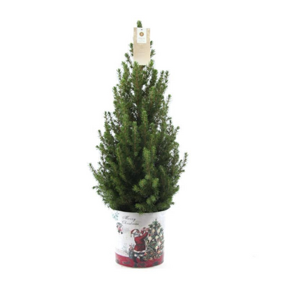 Kleine Kerstboom 70cm met kerstpot of zak