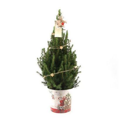Kleine Kerstboom 70cm met kerstpot of zak