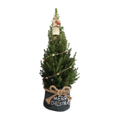 Kleine Kerstboom 70 cm in blauwe stoffen zak - met ster inclusief lampjes