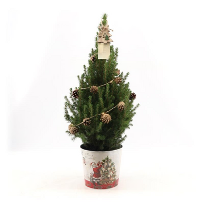 Kleine Kerstboom in Kerstmis sierpot - 70 cm - met boom inclusief lampjes
