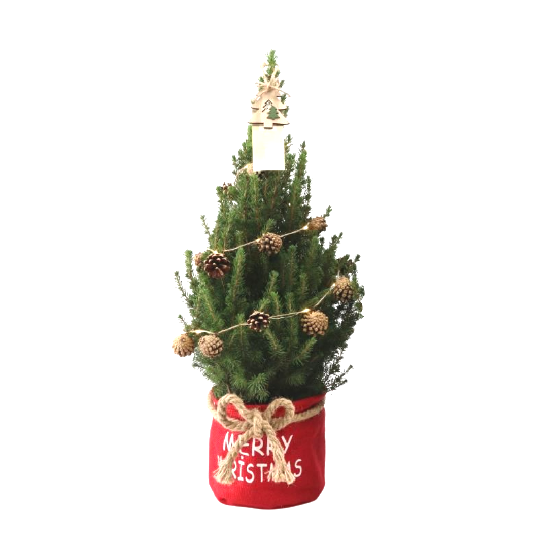 Kleine Kerstboom 70 cm in rode stoffen zak - met boom inclusief lampjes