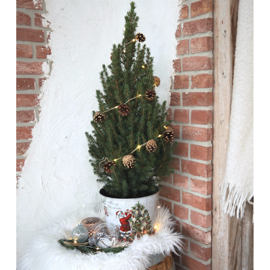 Kleine Kerstboom in Kerstmis sierpot - 70 cm - met boom inclusief lampjes