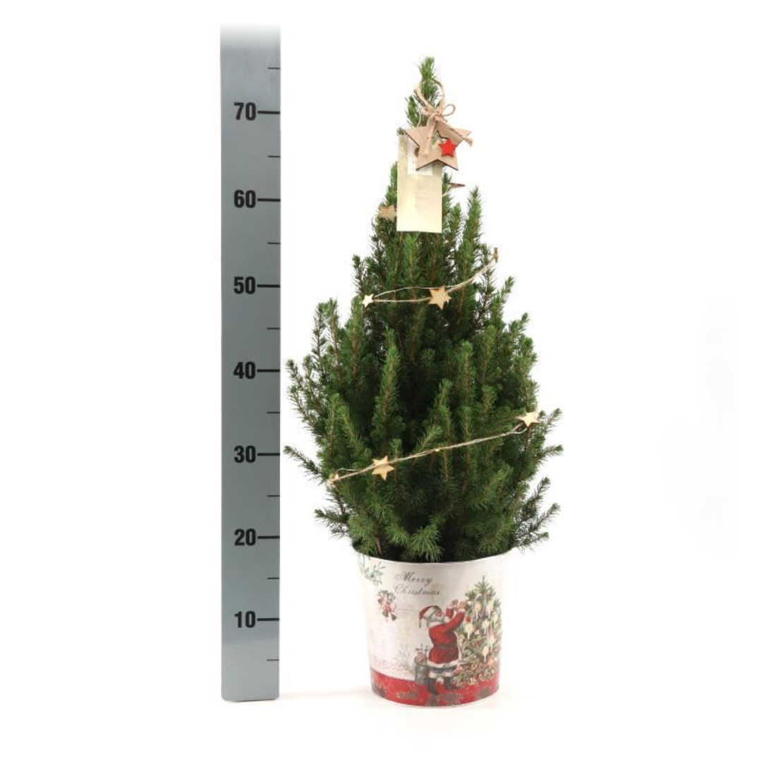 Kleine Kerstboom 70 cm in Kerstmis sierpot - met ster inclusief lampjes