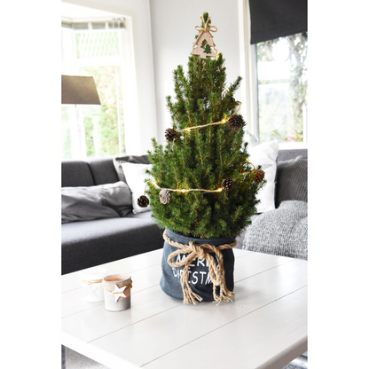 Kleine Kerstboom 70cm met kerstpot of zak