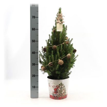 Kleine Kerstboom in Kerstmis sierpot - 70 cm - met boom inclusief lampjes