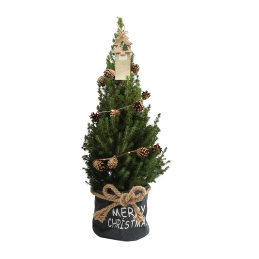 Kleine Kerstboom 70 cm in blauwe stoffen zak - met boom inclusief lampjes